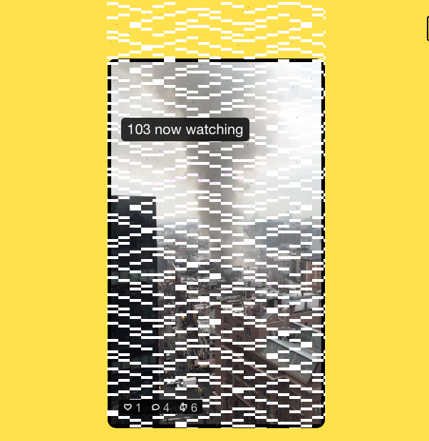 breaking meerkat