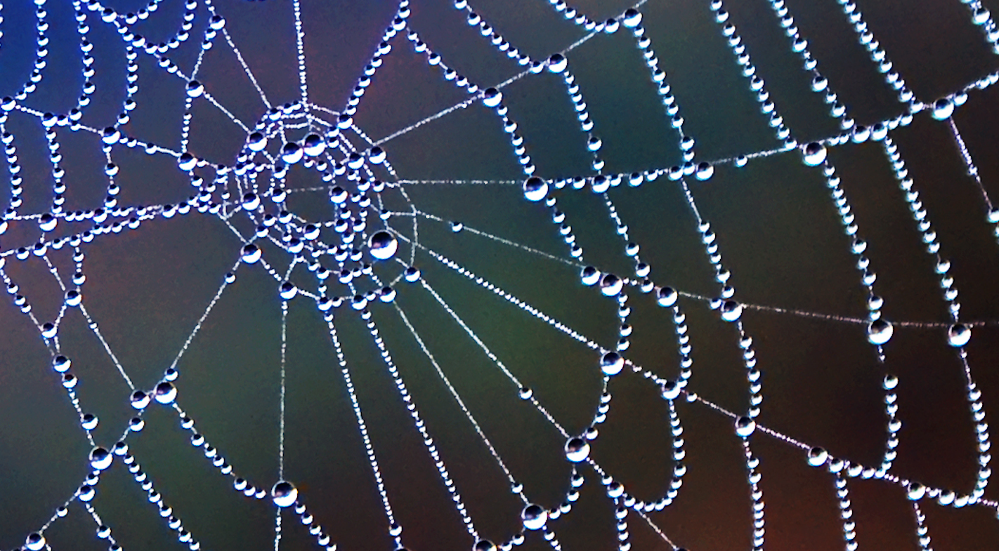 web